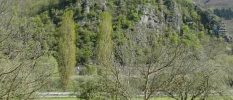 Paisagem montanhosa com um campo gramado, árvores e um banco.