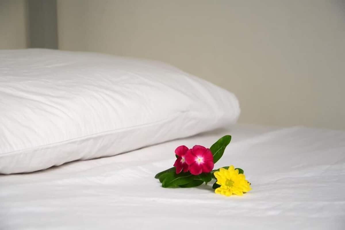 Roupas de cama premium, ferros/tábuas de passar roupa, Wi-Fi de cortesia