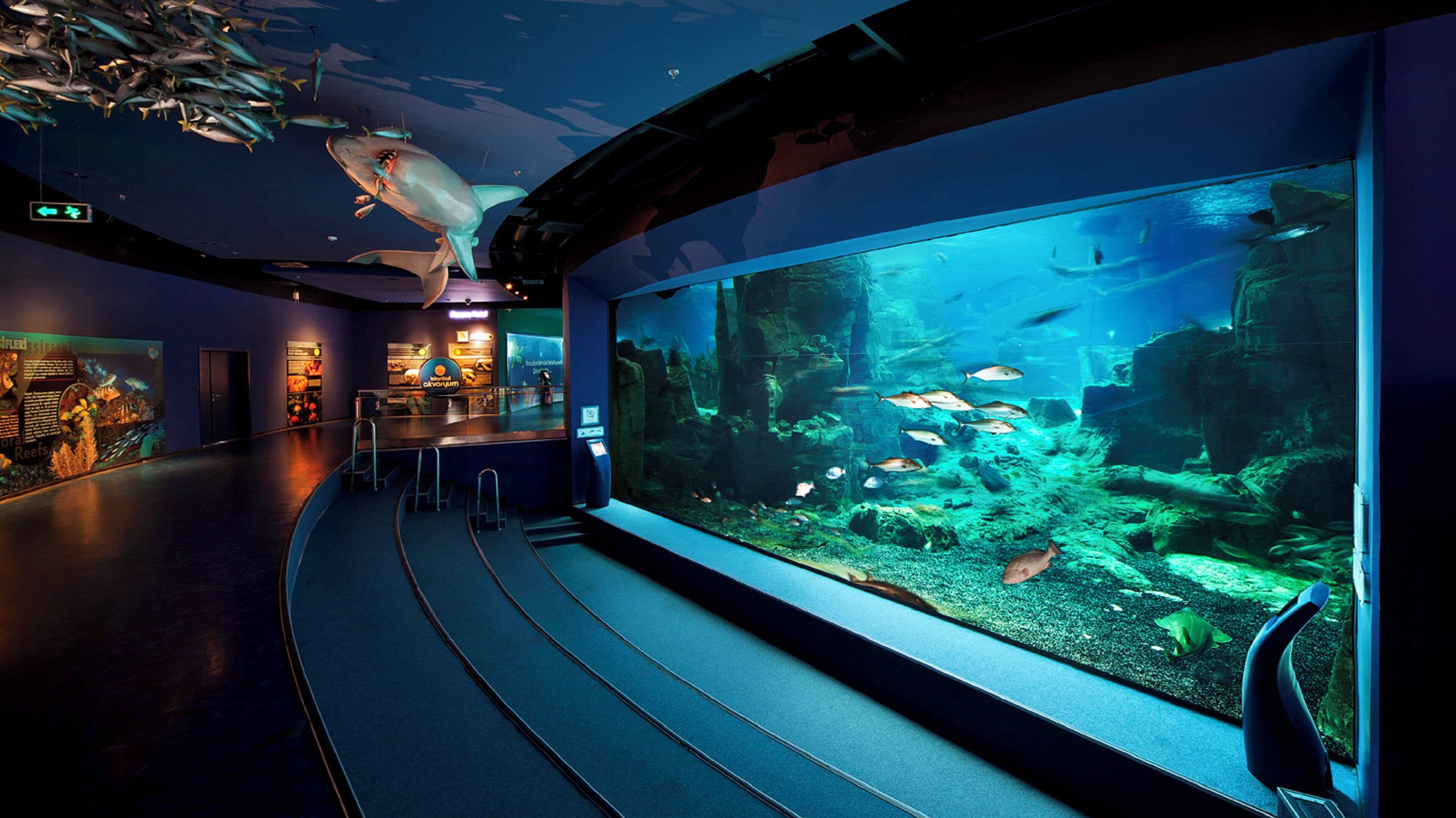A large aquarium with various fish species, a seating area with chairs, and informational displays on the walls.