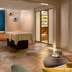 Bilik rawatan pasangan, sauna, bilik wap, mandi tangas / hammam