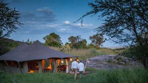 Tenda Mewah | Tempat tidur lipat/tambahan dan seprai linen
