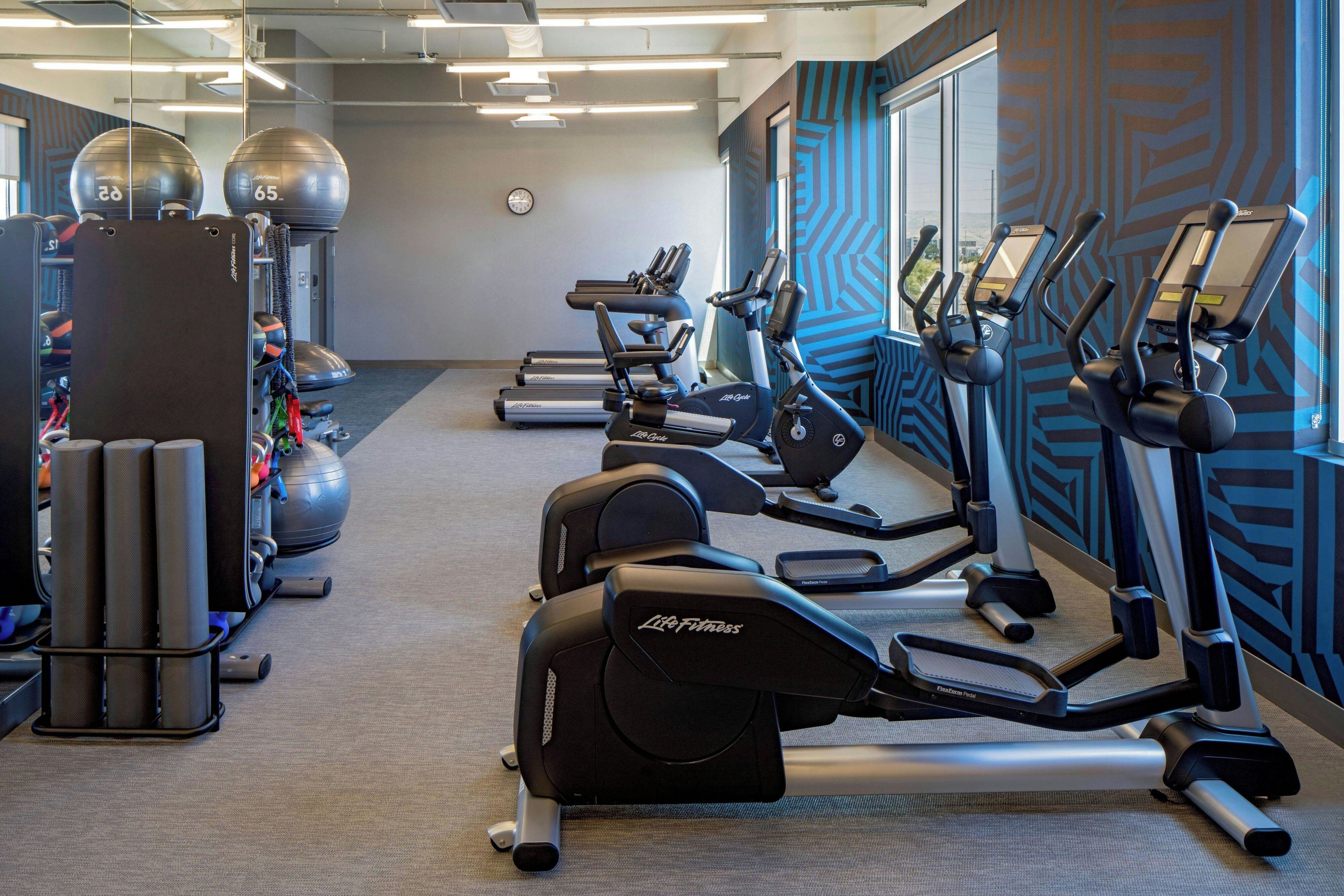 A gym with treadmills, elliptical machines, and exercise balls.