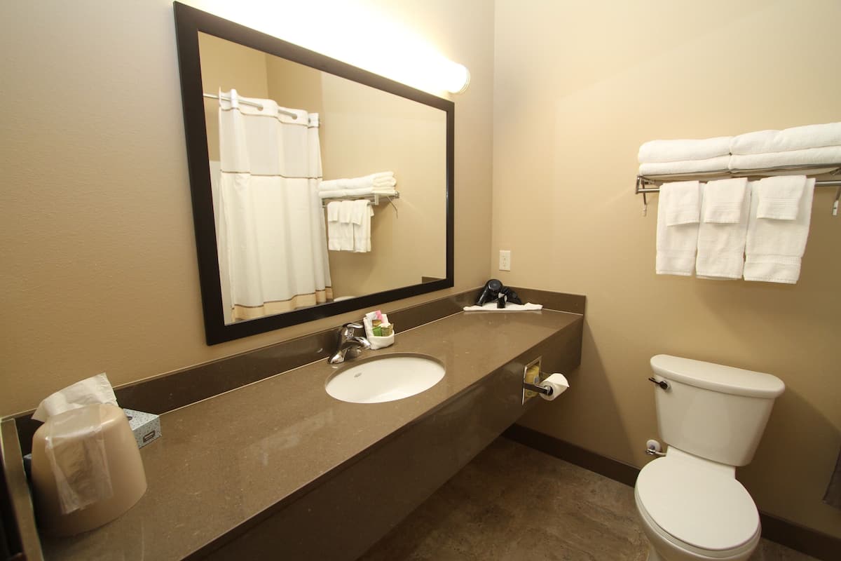A hotel bathroom with a sink, mirror, and toilet.