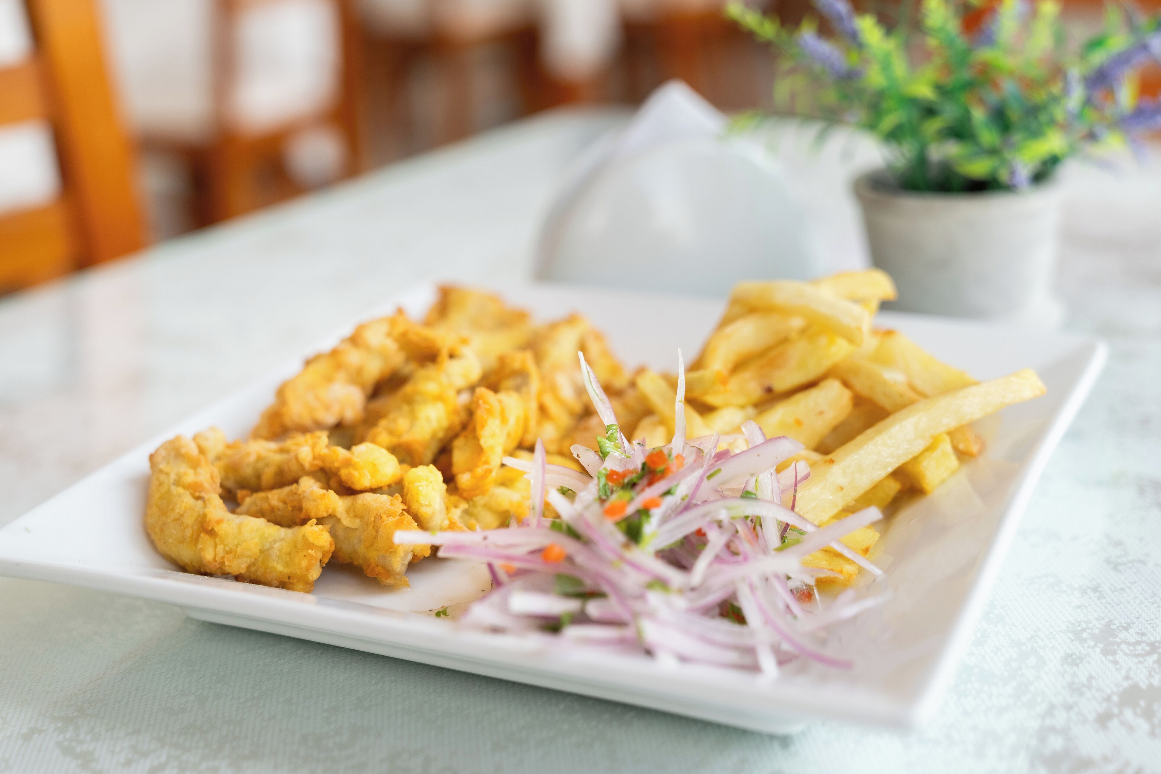 Un plato de calamares fritos y papas fritas, acompañado de una ensalada de cebolla sobre un plato blanco.