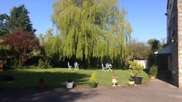 A garden with a large weeping willow tree, a lawn, and a few potted plants.