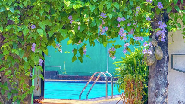 Una piscina con una escalera de metal, rodeada de exuberante follaje verde y flores moradas.