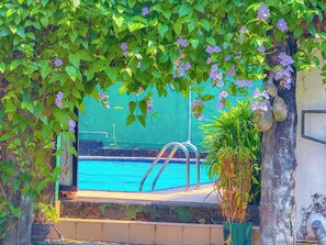 Ein Swimmingpool mit Metallleiter, umgeben von üppigem Grün und violetten Blüten.