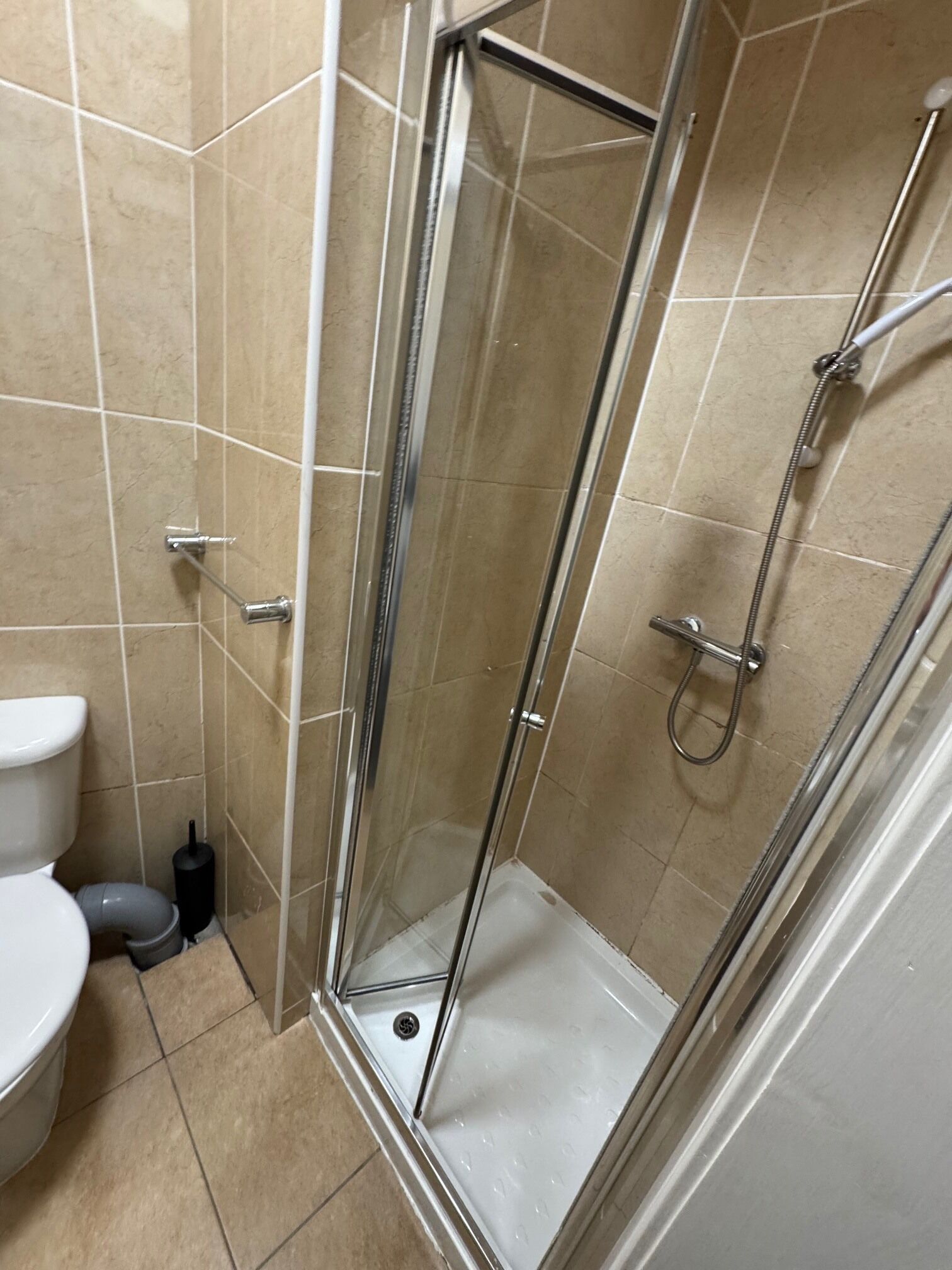 A glass-enclosed shower stall with a toilet and bidet to the left.