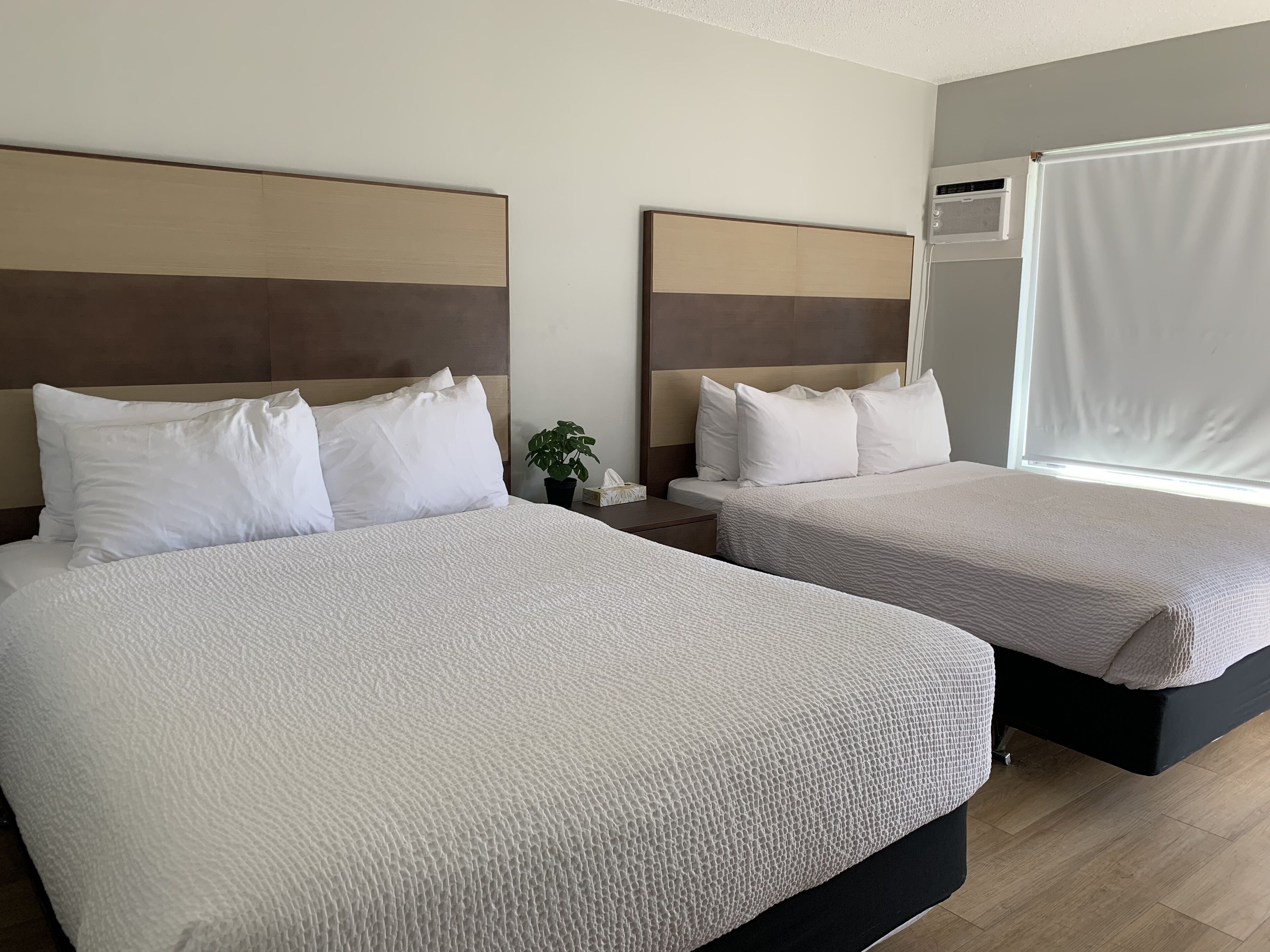 Dos camas con ropa blanca, una planta en maceta y una ventana con cortinas.