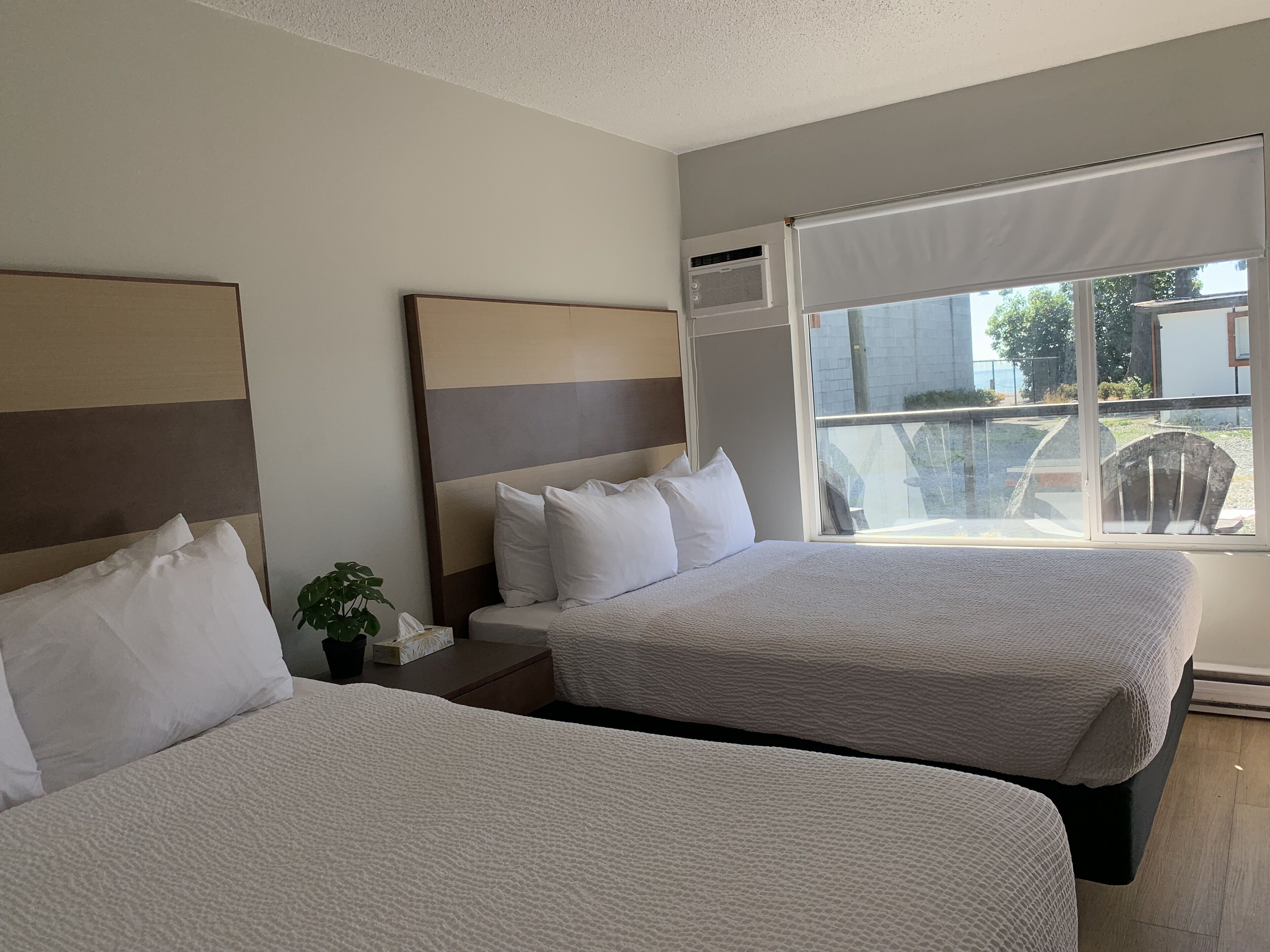 A hotel room with two beds, a potted plant, a nightstand, and a window with a view of the outside.