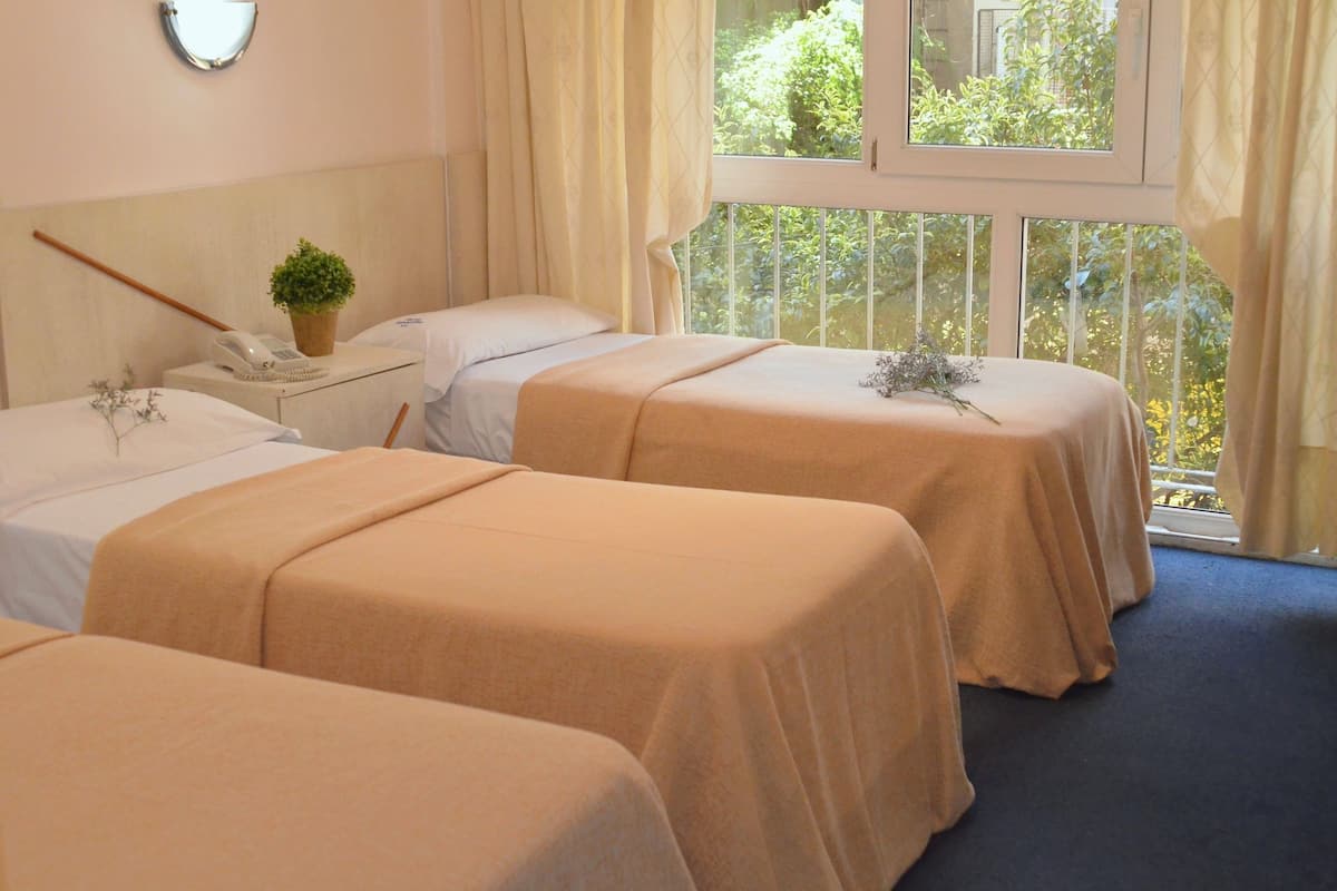 A hotel room with two single beds, a bedside table with a phone and a plant, and a window with curtains.