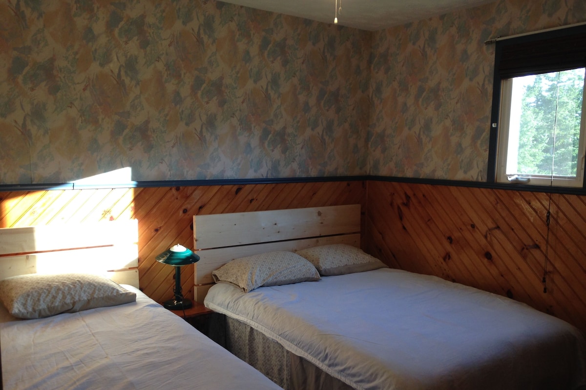 Una habitación con dos camas individuales, una mesita de noche con lámpara, paredes de madera y una ventana con vista a árboles.