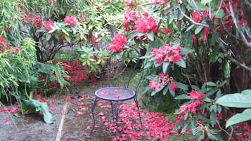 Room, 1 Queen Bed (Rhody #10, Pet Friendly) | Free WiFi, bed sheets