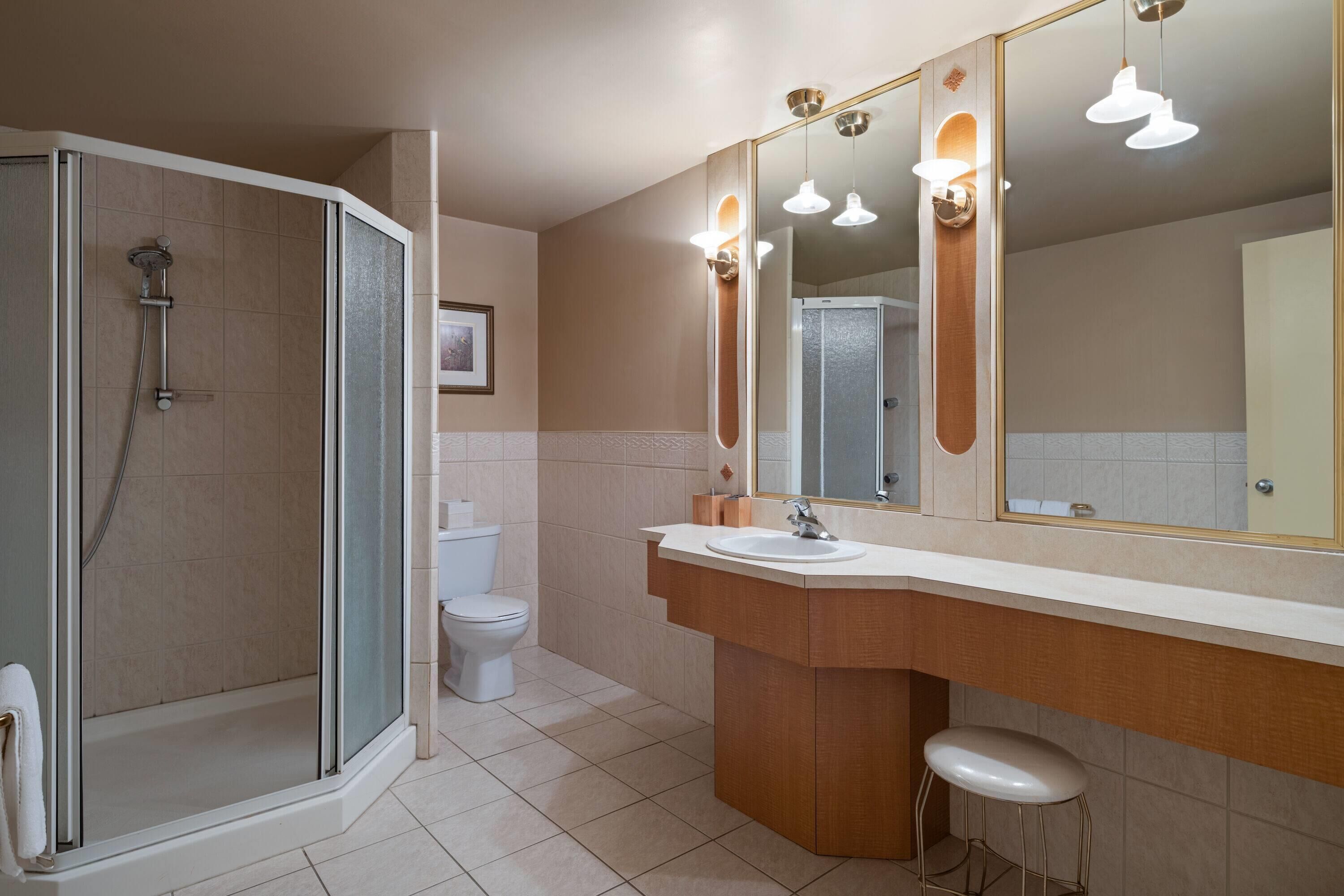 A bathroom with a shower, toilet, sink, and a large mirror.