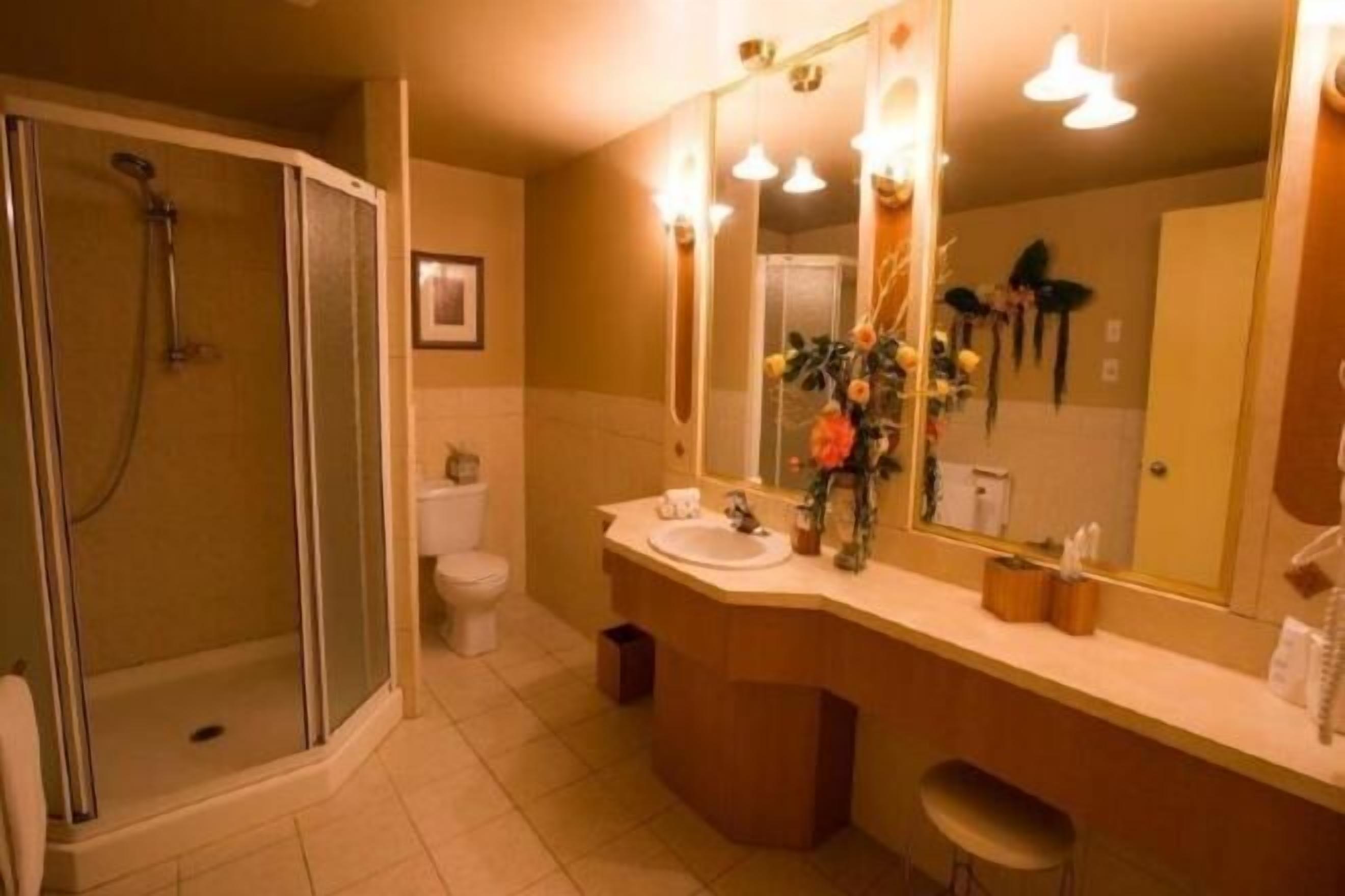 Combined shower/tub, free toiletries, hair dryer, towels