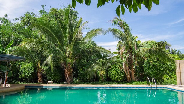 A swimming pool surrounded by lush greenery and palm trees. - OYO 384 Ban Sabaidee (Ayutthaya)