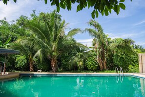 A swimming pool surrounded by lush greenery and palm trees. - OYO 384 Ban Sabaidee (Ayutthaya)
