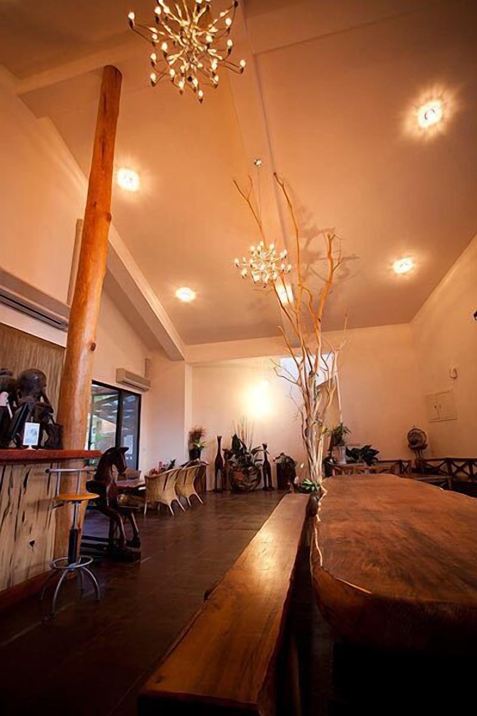A spacious room with a long wooden table, chairs, and a decorative tree.