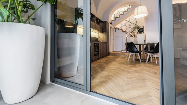 Un interior moderno con una planta grande en maceta, un comedor con sillas y una cocina visible a través de un vidrio.