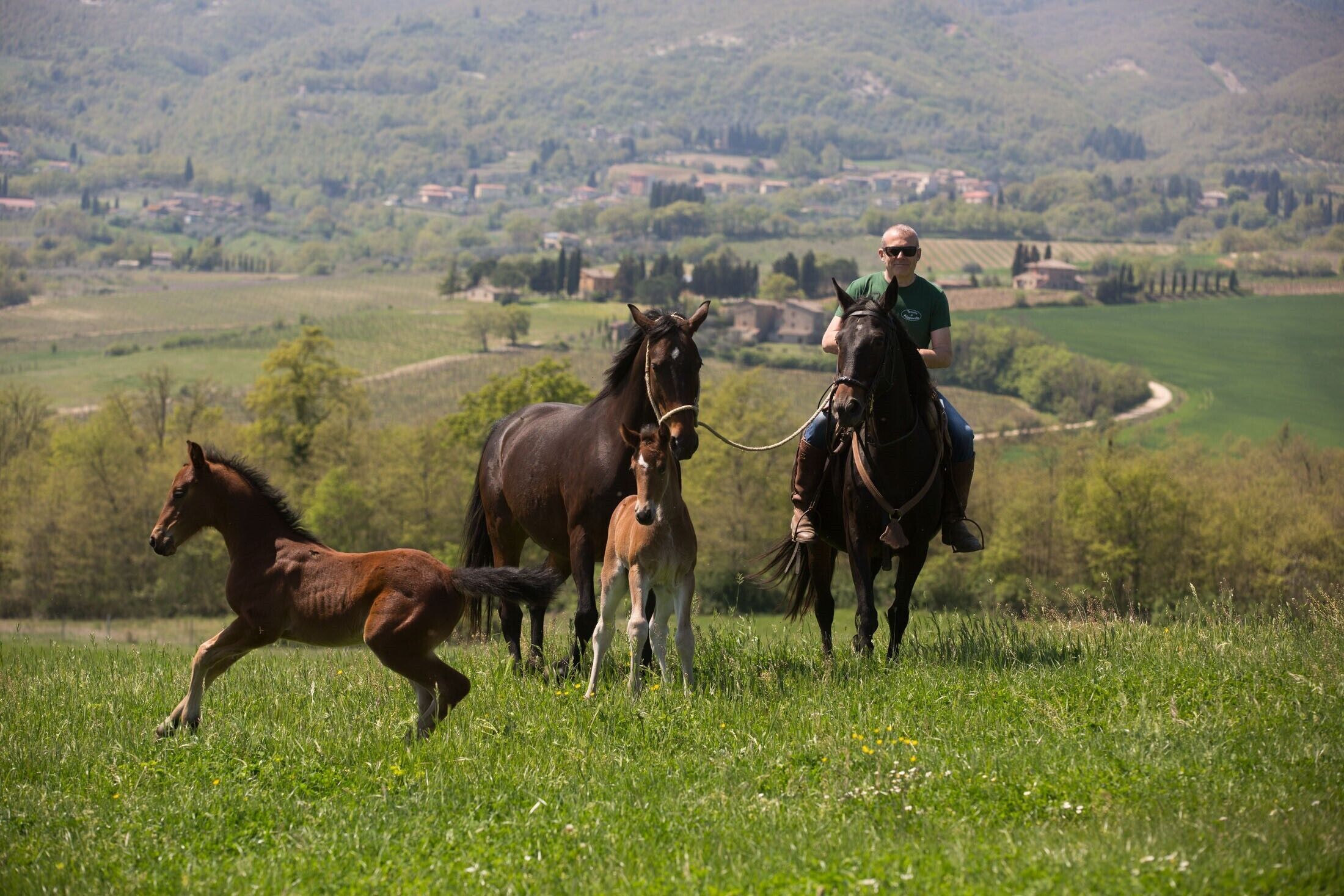 A horse and rider in a grassy field with a rural landscape in the background.
