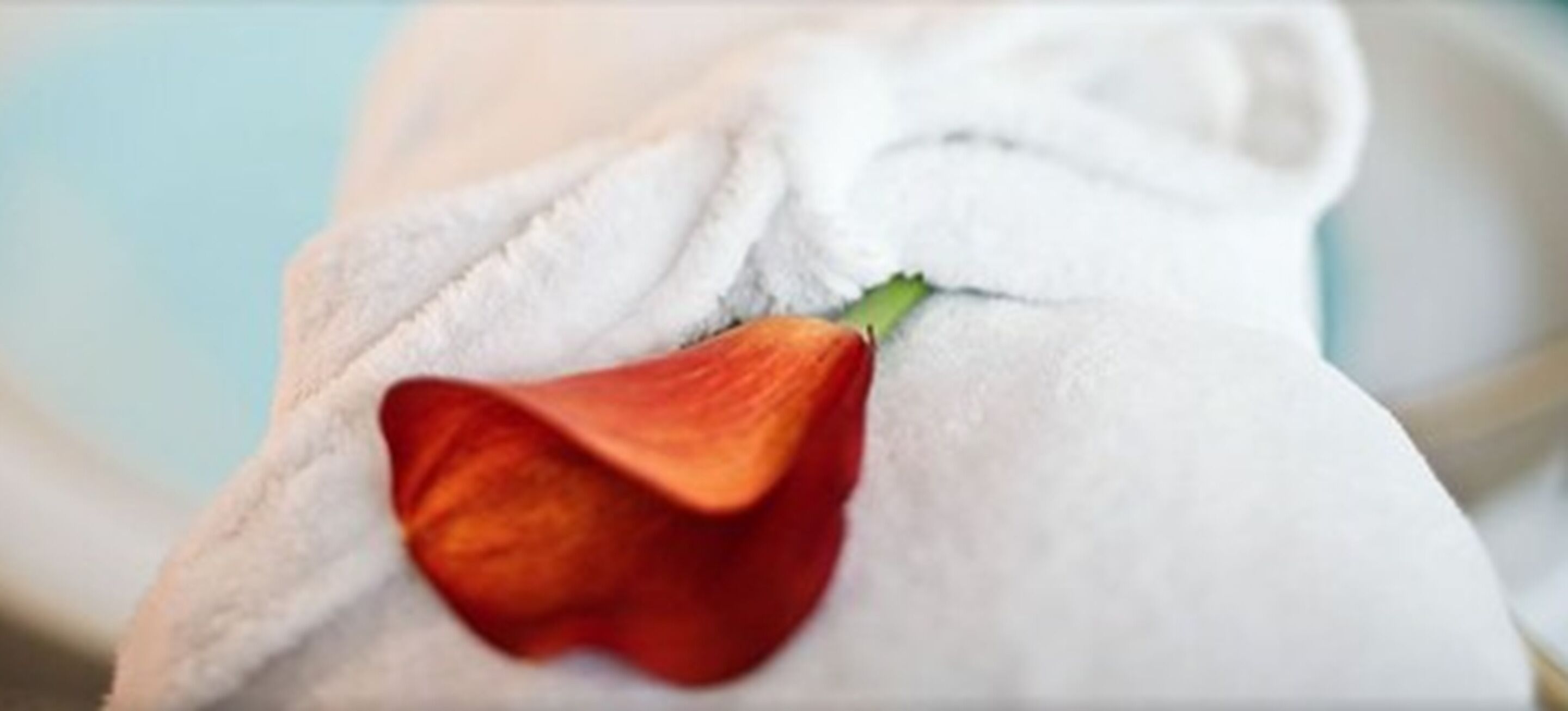 sauna, hot tub, steam room