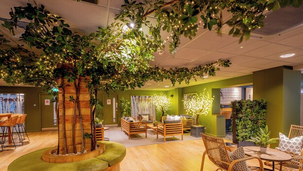 A cozy indoor space with wooden furniture, green walls, and hanging plants. - Ashorne Hill Leamington Spa (Royal Leamington Spa)