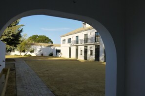 Un patio con un sendero adoquinado, un edificio blanco con múltiples ventanas y puertas, y un árbol al fondo.