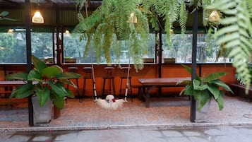 Children's play area - outdoor