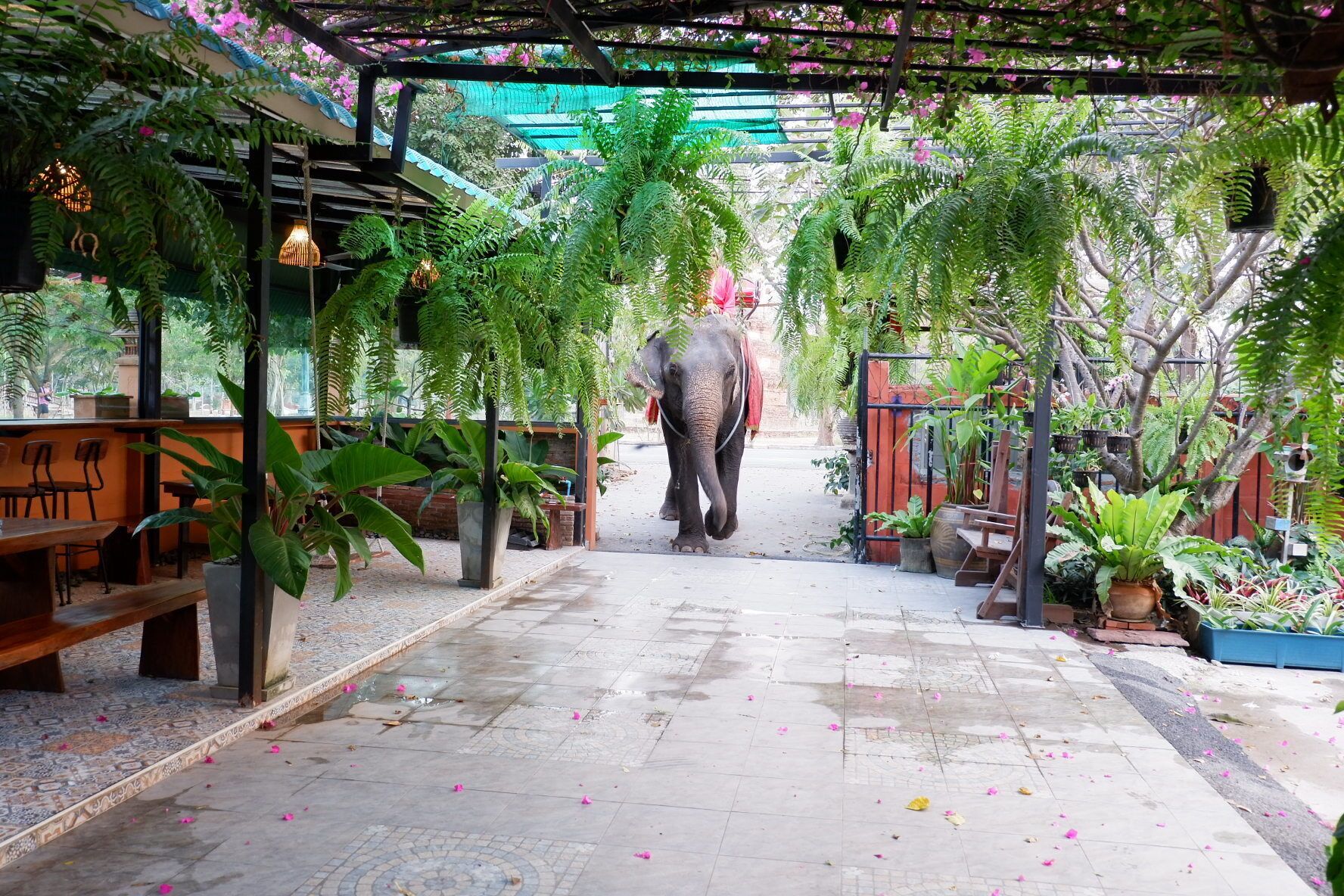 Foto - The Park Ayutthaya Resort And Spa