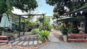 Un jardín con un sendero de piedra, plantas en macetas y una estructura de pérgola.