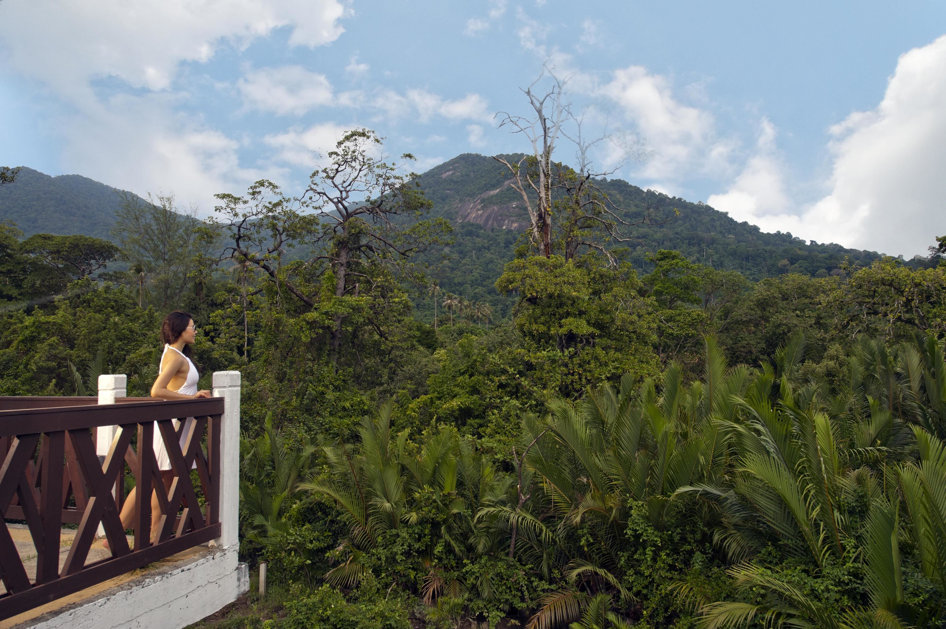 Une personne se tient sur une terrasse en bois, d’où l’on peut admirer un paysage luxuriant et verdoyant, avec une végétation dense et une montagne en arrière-plan.