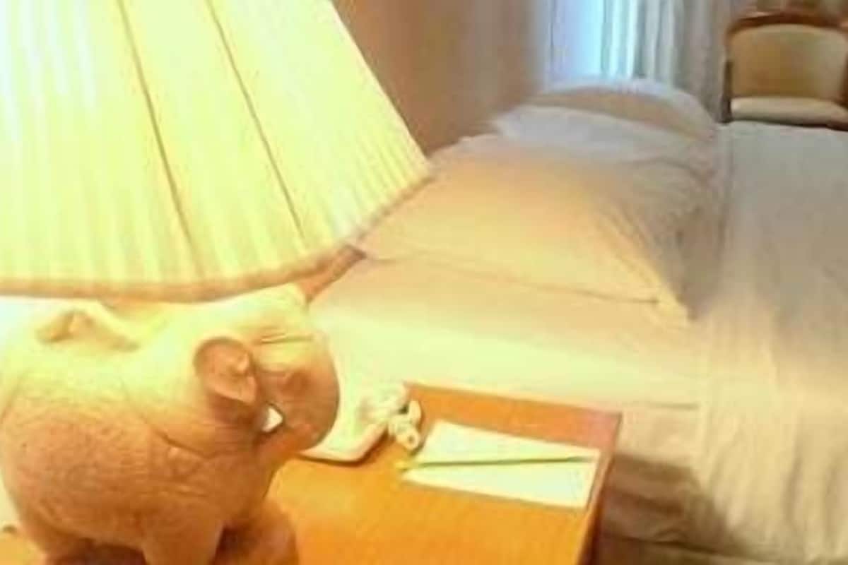 Deluxe kamer | Een kluis op de kamer, een bureau, extra bedden, gratis wifi