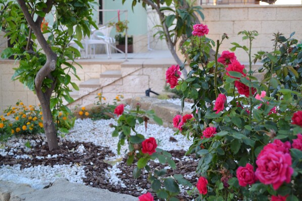 Exterior - B&B Green House (Agrigento)