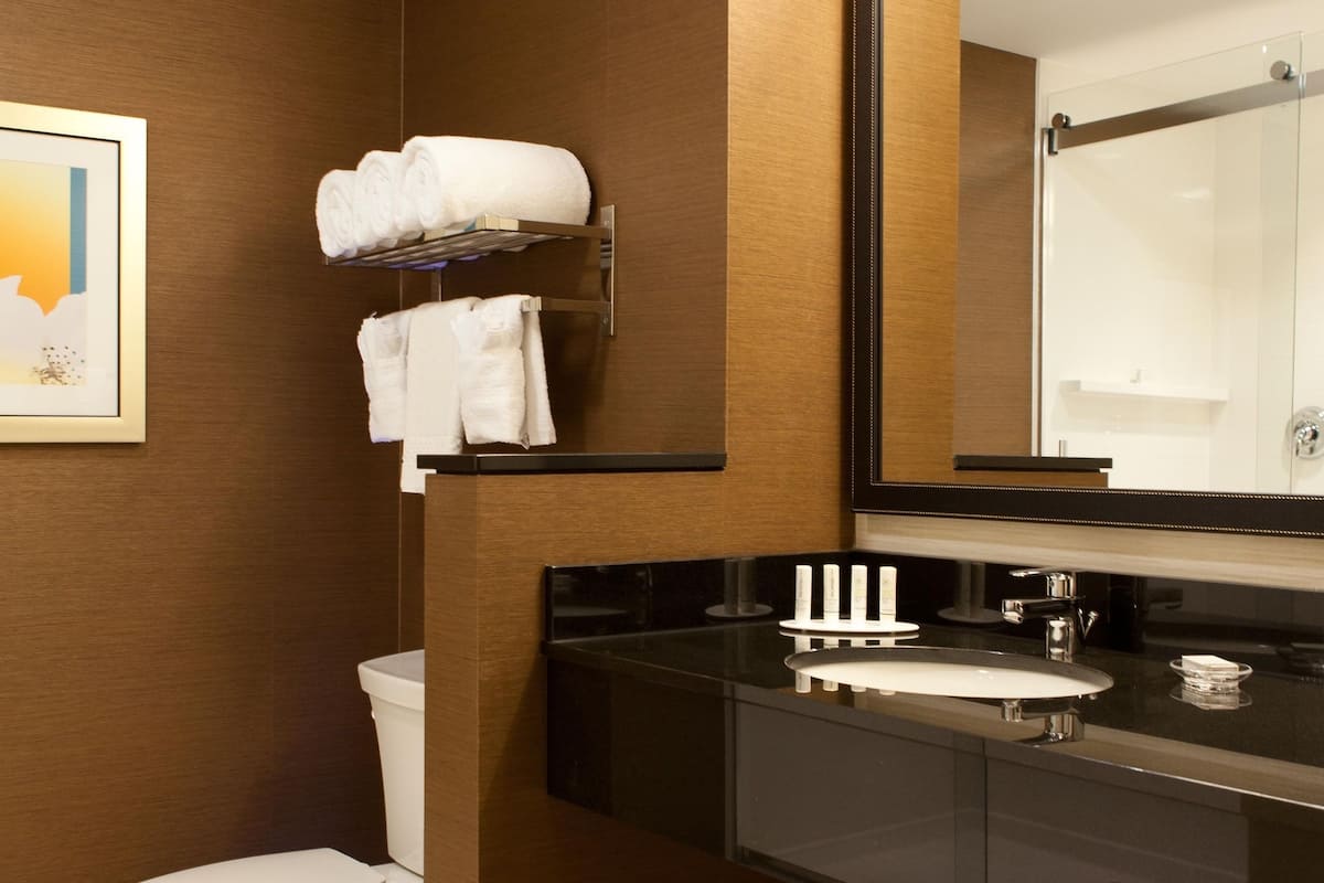 free toiletries, hair dryer, towels