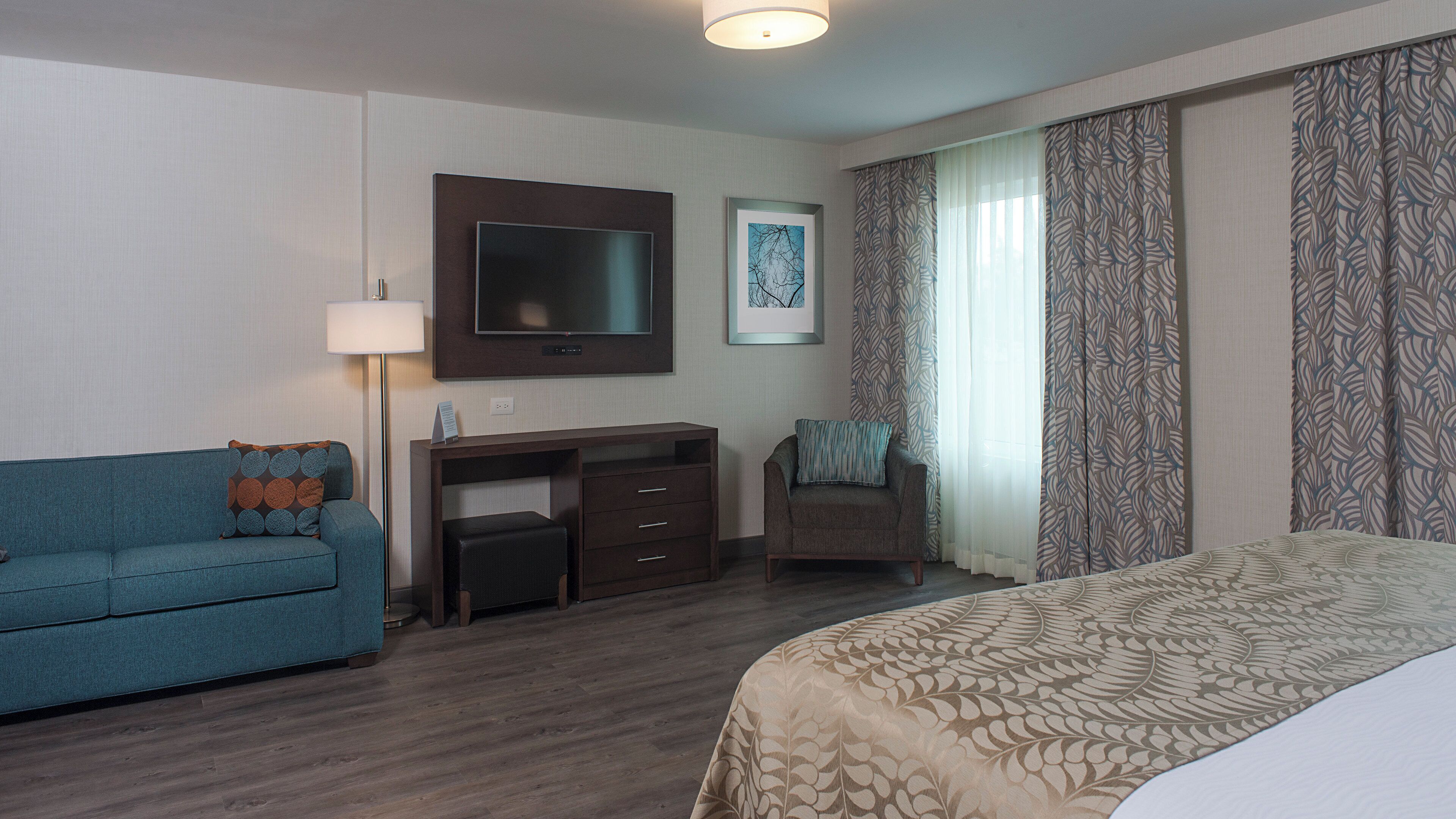 Studio Suite, Mobility Accessible, Kitchen | In-room safe, desk, blackout curtains, soundproofing