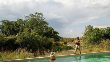 Zona de piscina con una persona caminando y otra en el agua, rodeada de follaje.