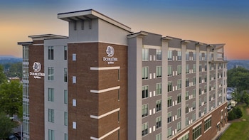 DoubleTree by Hilton Asheville Downtown