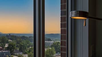 Room, 1 King Bed, City View, Corner | View from room