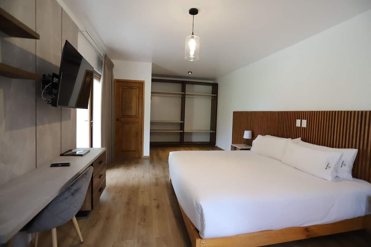 Deluxe Double Room, 1 King Bed, Terrace | 1 bedroom, desk, laptop workspace, free WiFi
