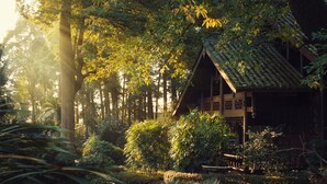 Una casa de madera tradicional rodeada de abundante vegetación y altos árboles.