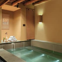 Courtyard Hot Spring Suite