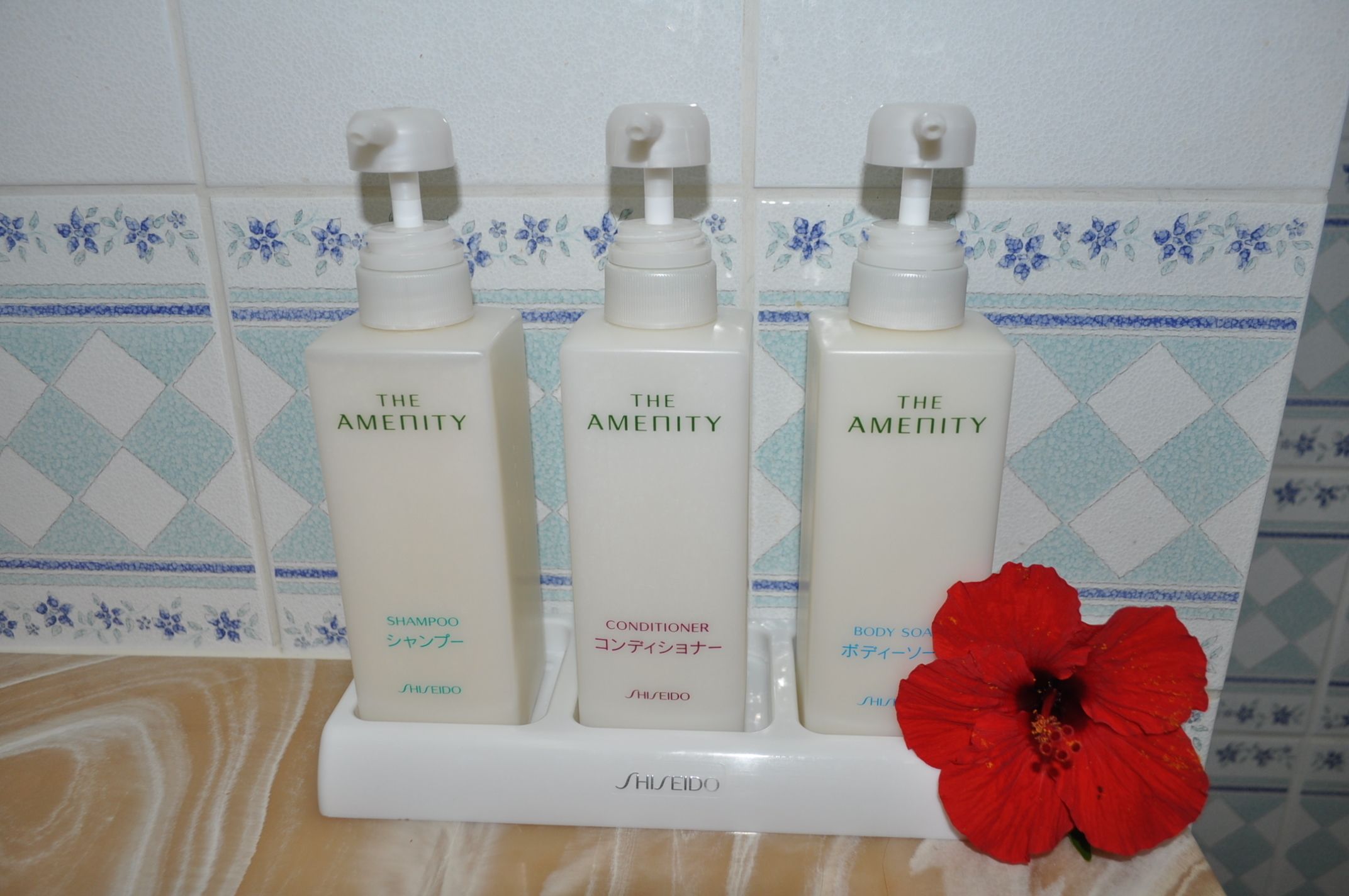 combined shower/bathtub, free toiletries, hair dryer, slippers