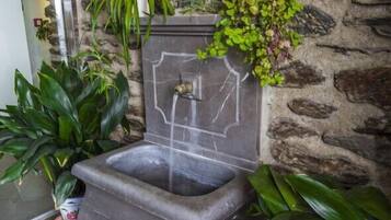 A stone fountain with water spouting from a central point, surrounded by lush green plants.
