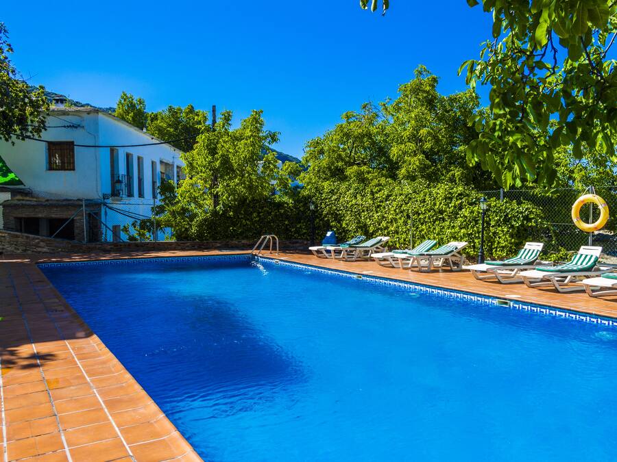 A swimming pool with sun loungers and a lifebuoy.