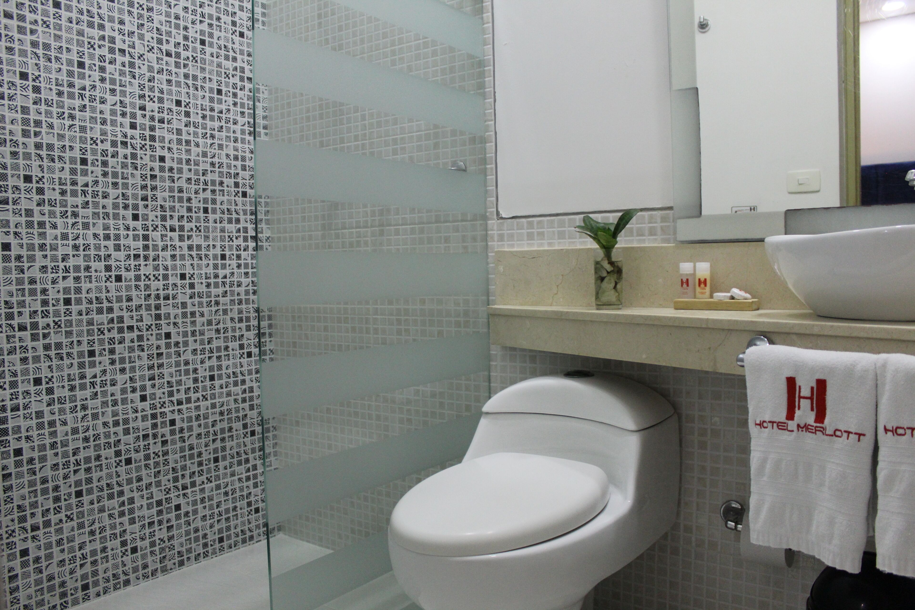 Foto - Hotel Merlott Lleras