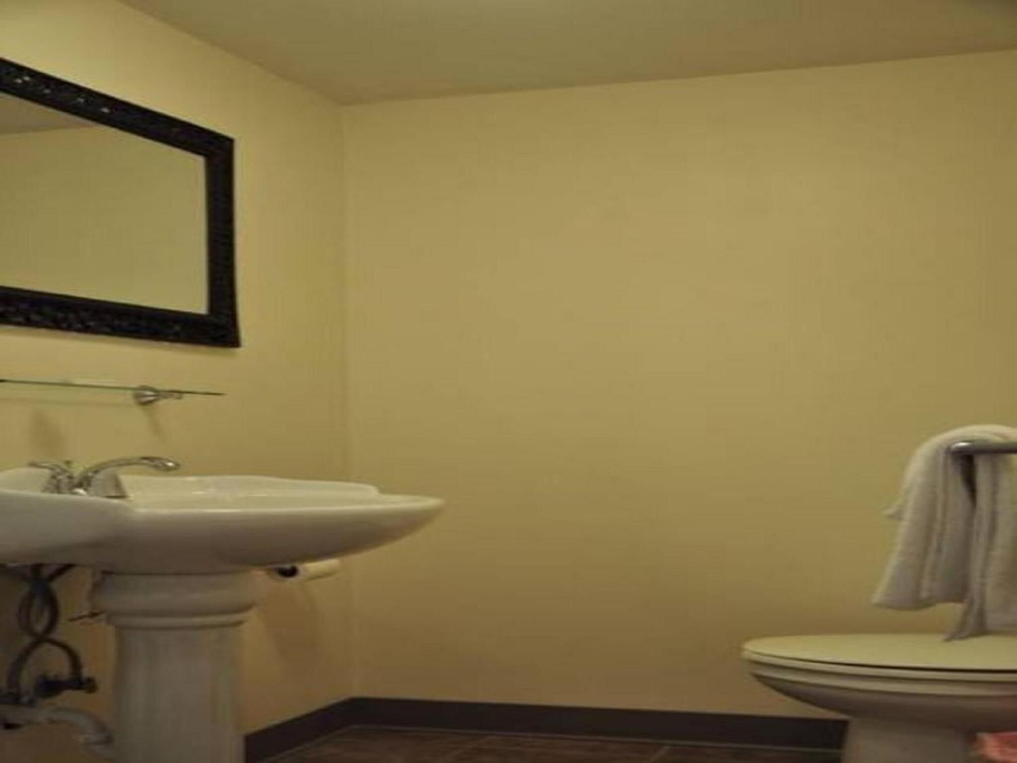 A bathroom with a pedestal sink, a mirror, and a toilet.