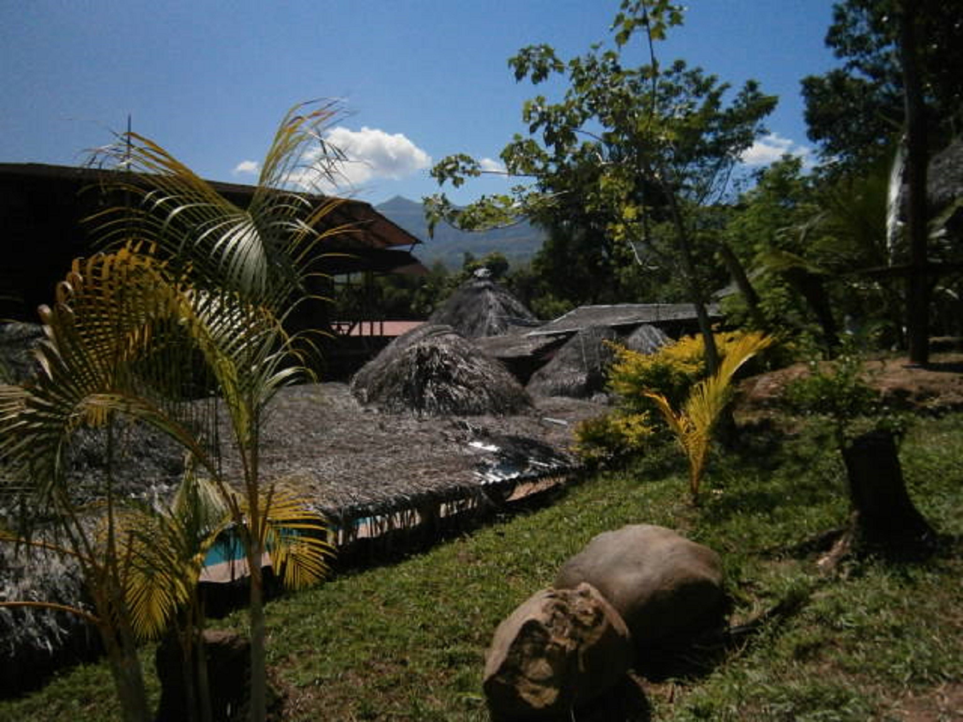 Un entorno tropical con cabañas de techo de paja, palmeras y una zona cubierta de hierba.
