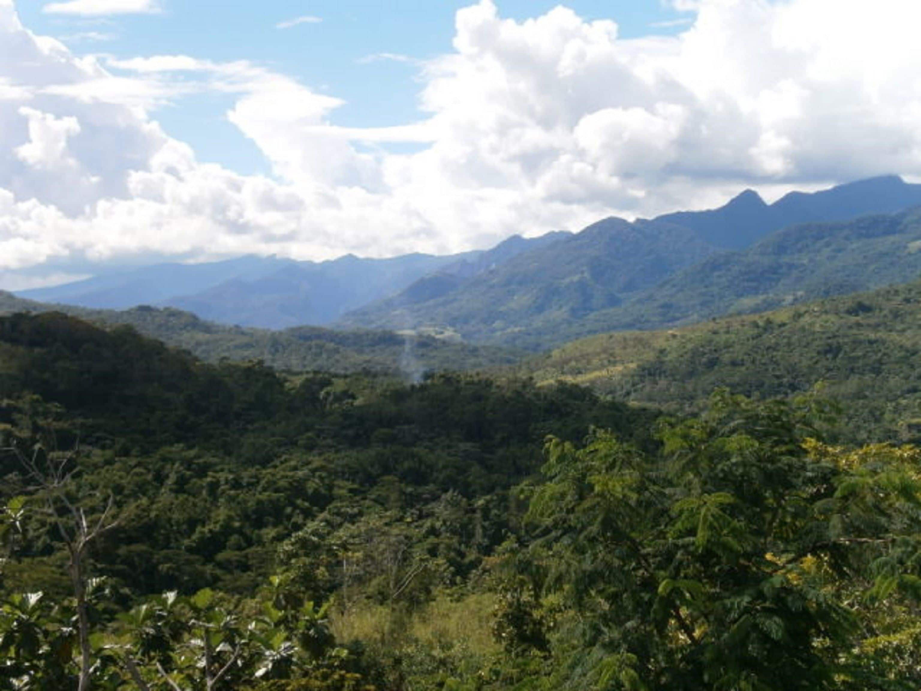 Photo - Madera Labrada Lodge Ecologico