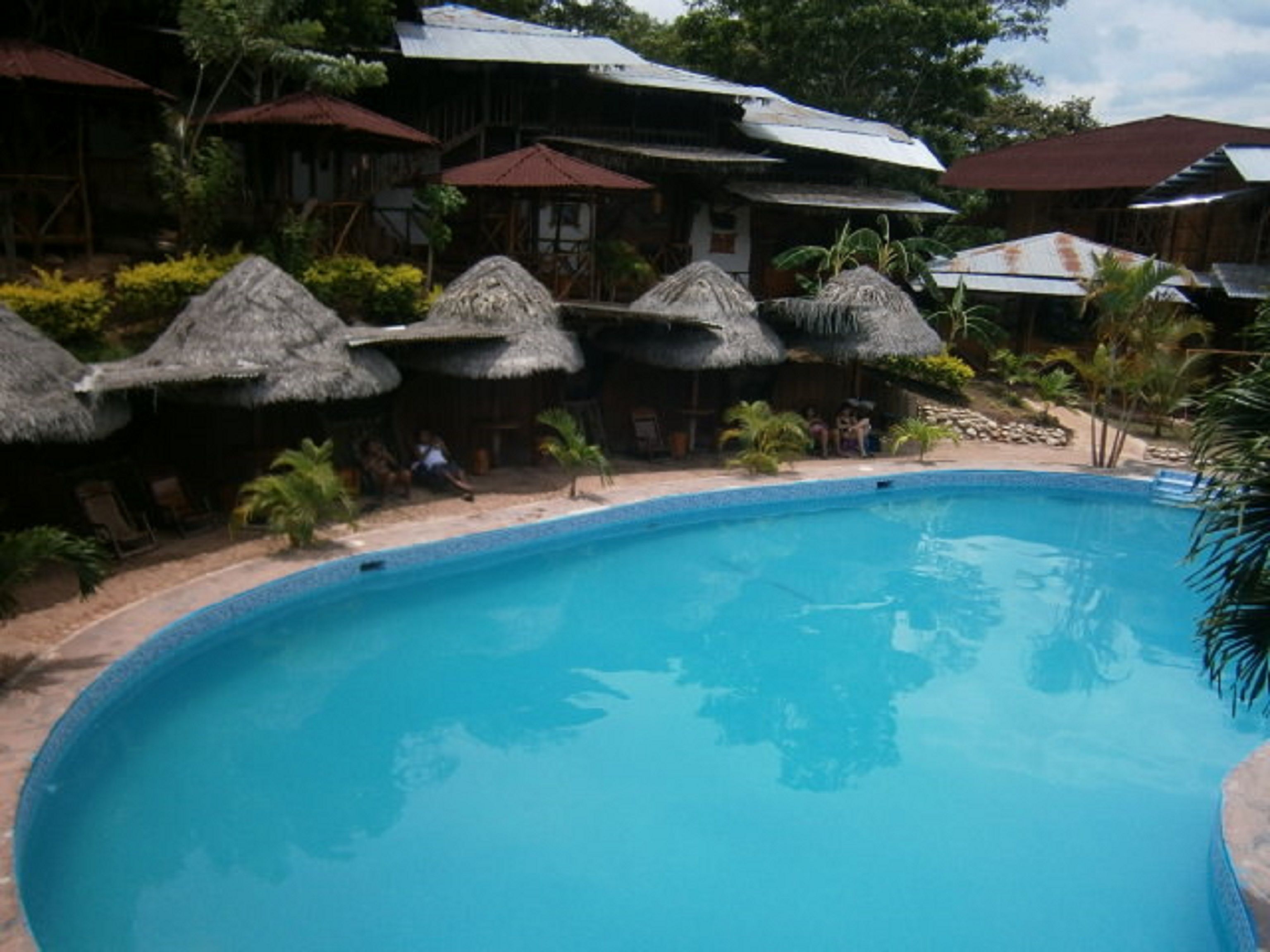 Una piscina rodeada de cabañas con techo de paja y palmeras.