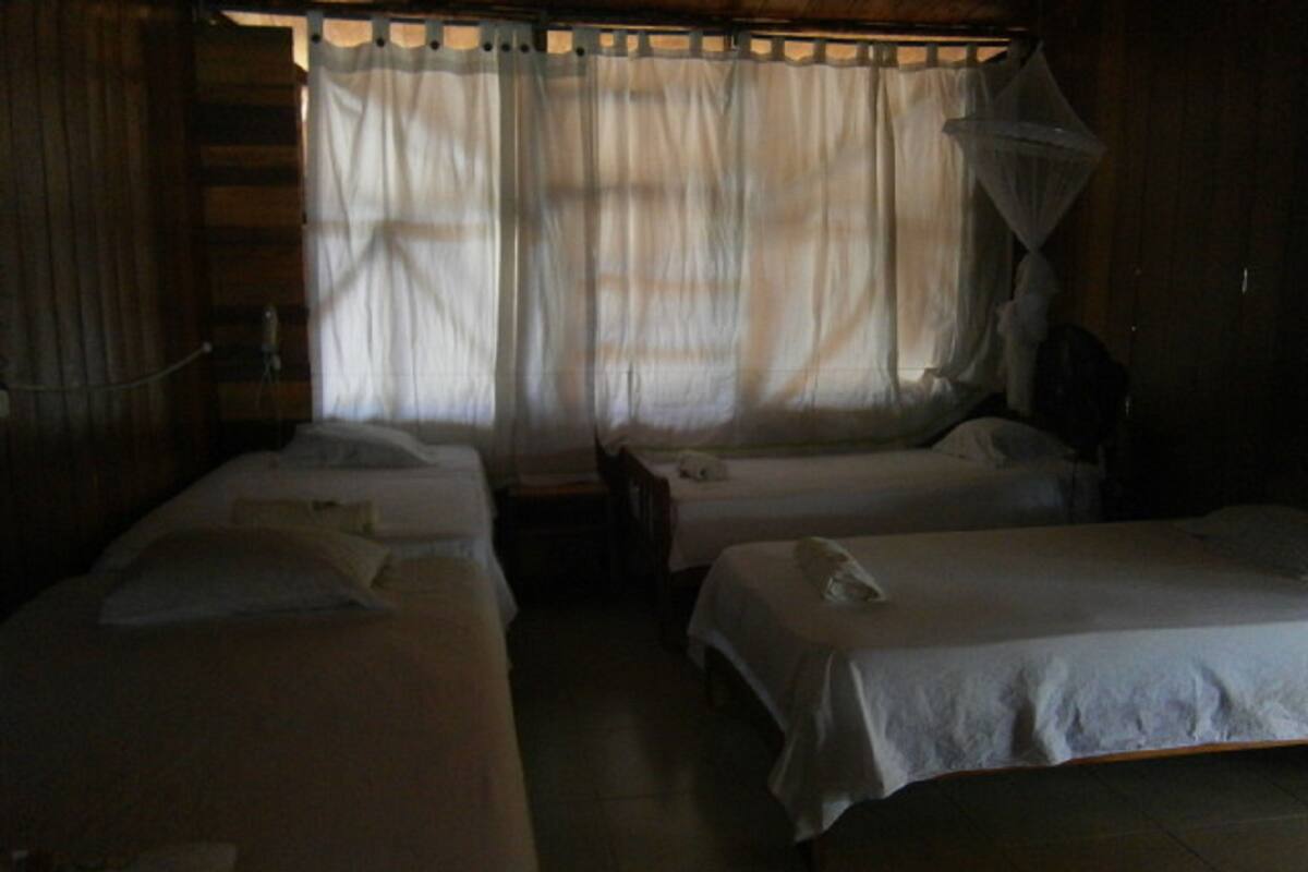 Una habitación con dos camas individuales, una pared de madera, una ventana con cortinas y un mosquitero.